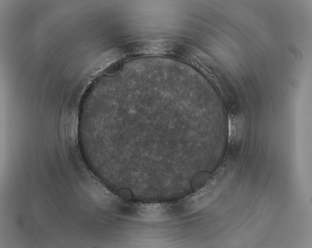 X0000112960301200909101638