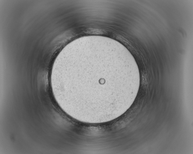 X0000112960302200909101638