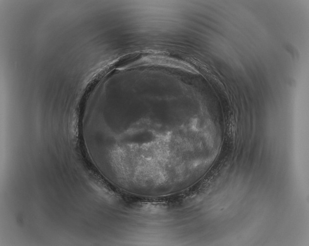 X0000112960303200909101638