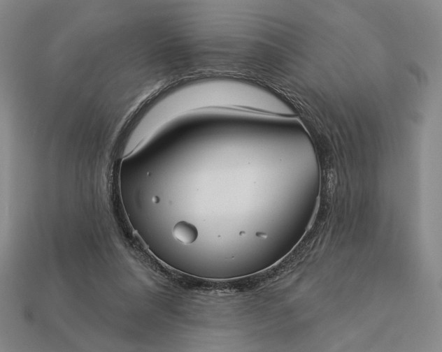 X0000112960304200909101638