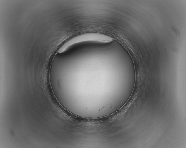 X0000112960305200909101638