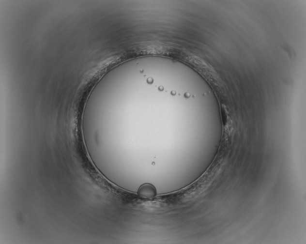 X0000112960306200909101638