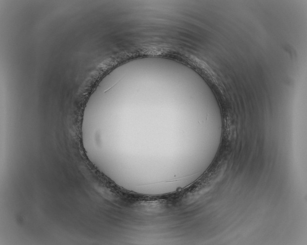 X0000112960307200909101638