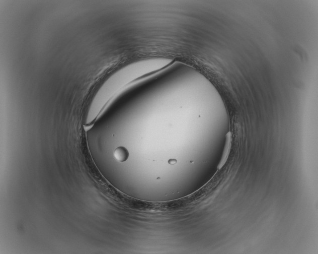 X0000112960308200909101638