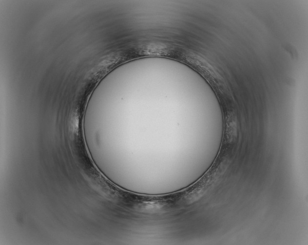 X0000112960310200909101638