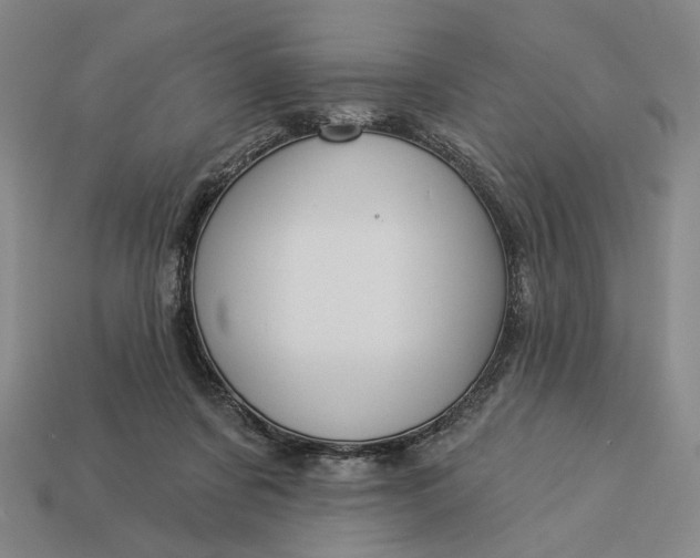 X0000112960311200909101638