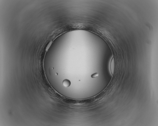 X0000112960312200909101638