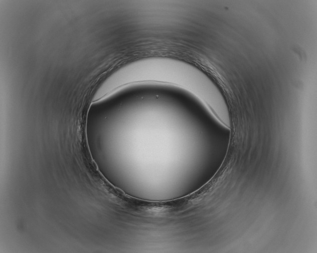 X0000112960313200909101638