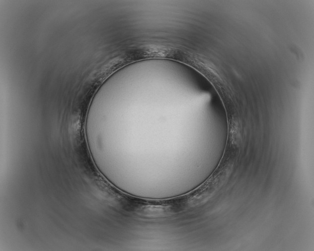 X0000112960314200909101638