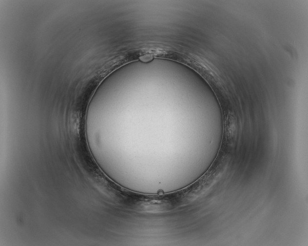 X0000112960315200909101638