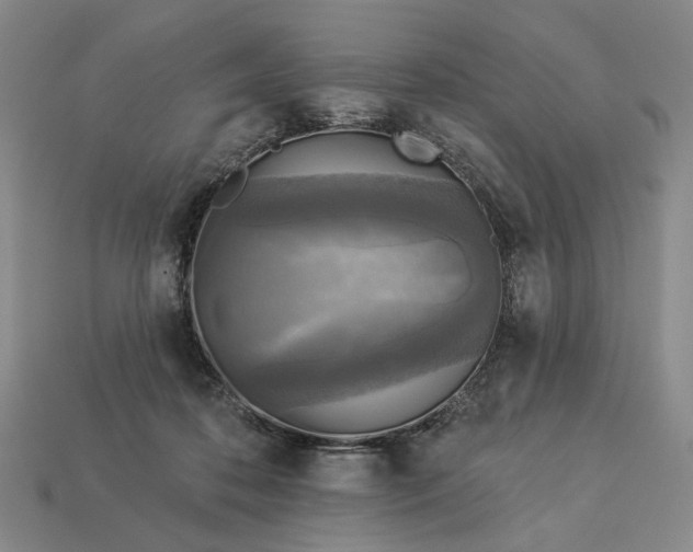 X0000112960316200909101638