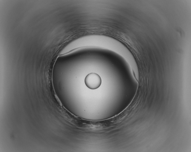 X0000112960317200909101638