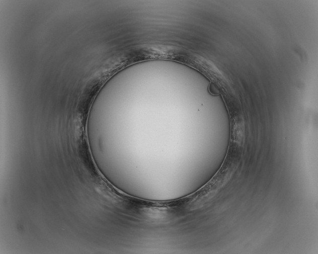 X0000112960318200909101638