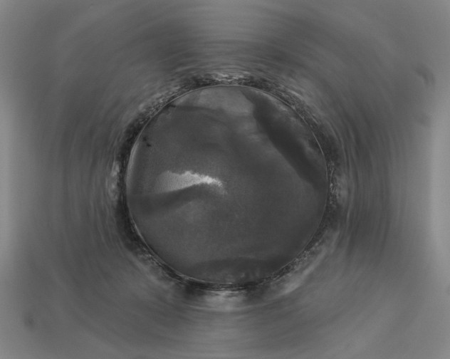 X0000112960319200909101637