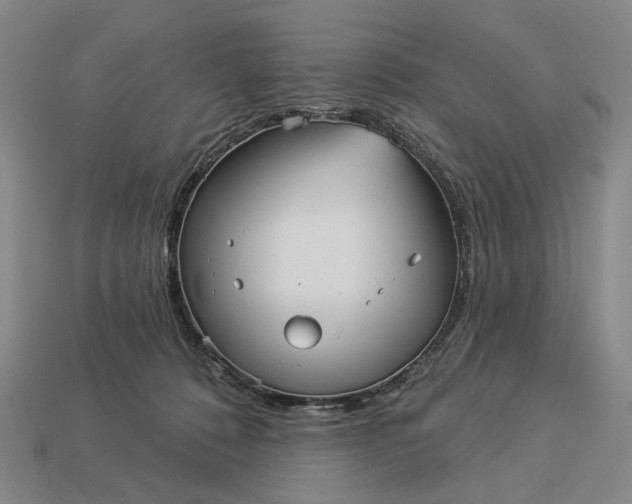 X0000112960320200909101637