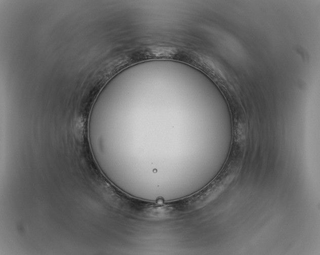 X0000112960321200909101637