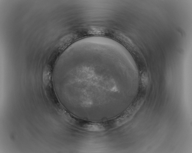 X0000112960322200909101637