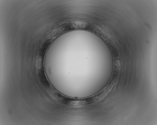 X0000112960323200909101637