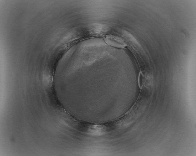 X0000112960324200909101637