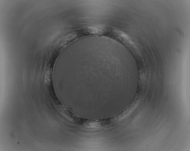 X0000112960325200909101637