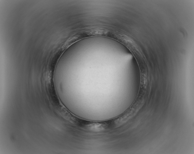 X0000112960326200909101637