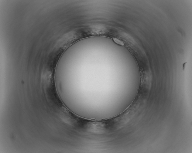 X0000112960327200909101637