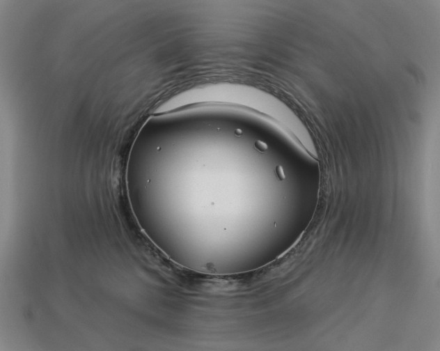 X0000112960328200909101637