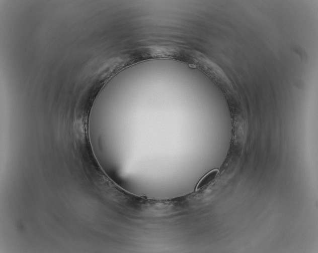 X0000112960329200909101637