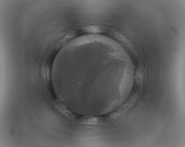 X0000112960330200909101637