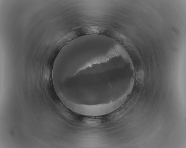 X0000112960331200909101637