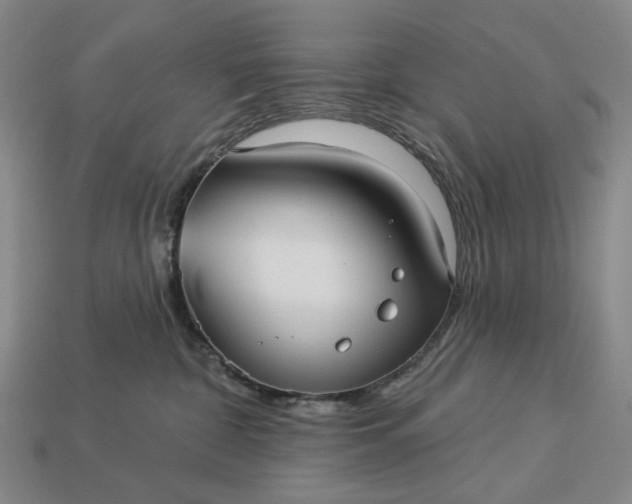 X0000112960332200909101637