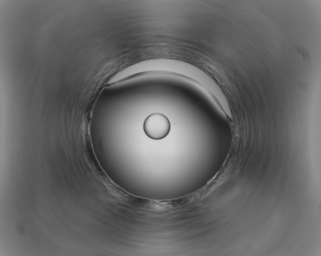 X0000112960333200909101637