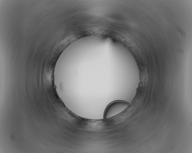 X0000112960334200909101637