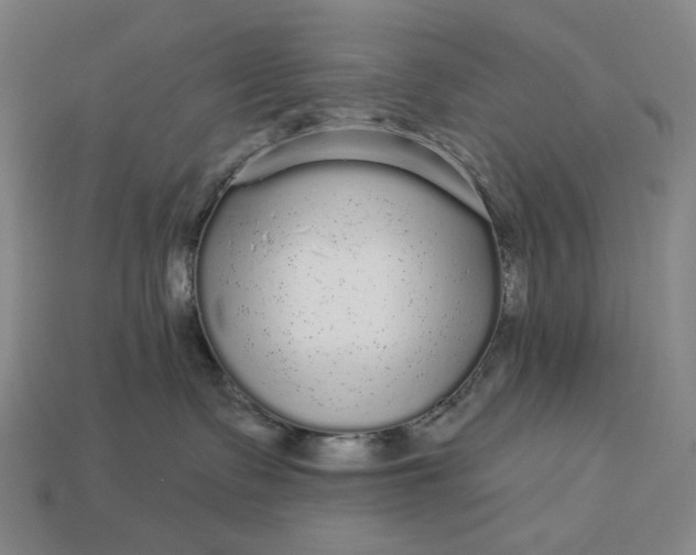 X0000112960335200909101637