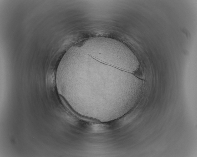 X0000112960336200909101637