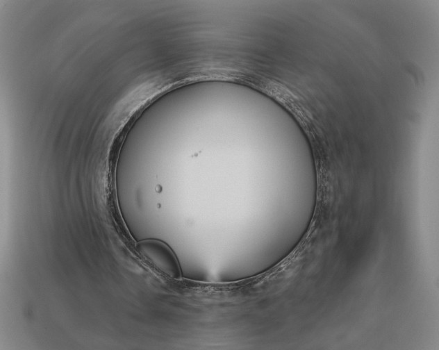 X0000112960338200909101637