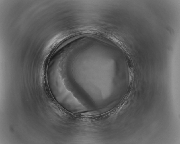 X0000112960339200909101637