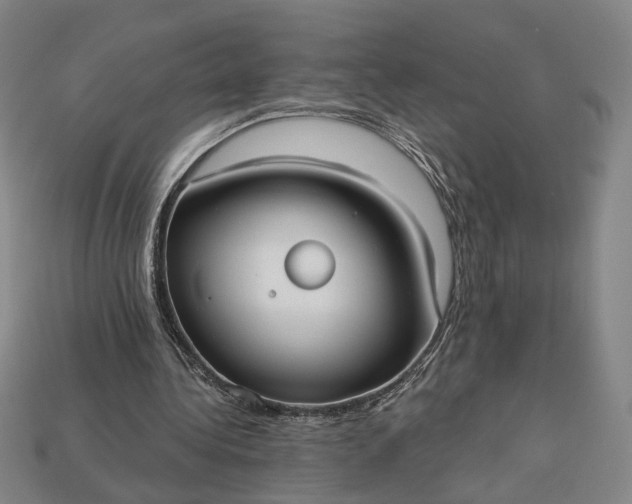 X0000112960340200909101637