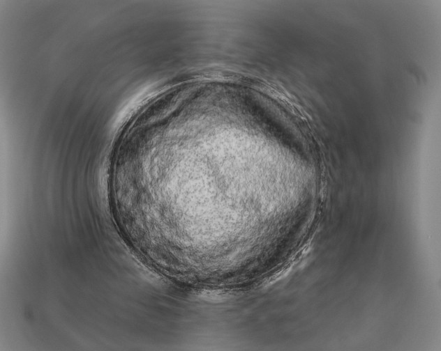 X0000112960341200909101637