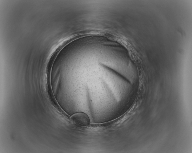 X0000112960342200909101637