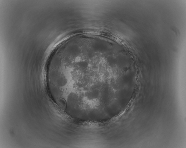 X0000112960343200909101637