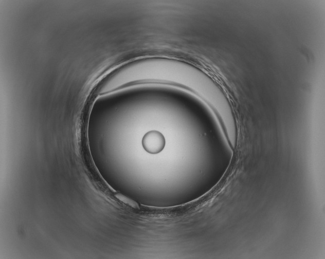 X0000112960344200909101637