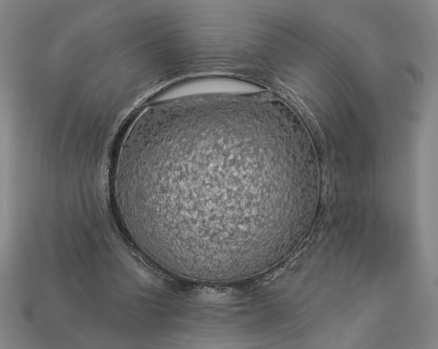 X0000112960346200909101637