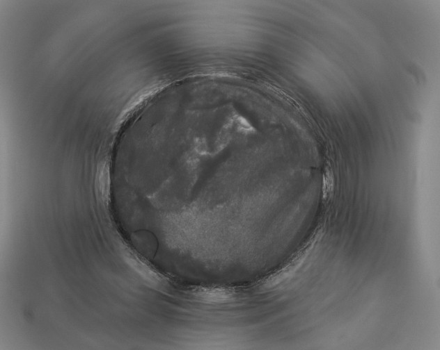 X0000112960349200909101637