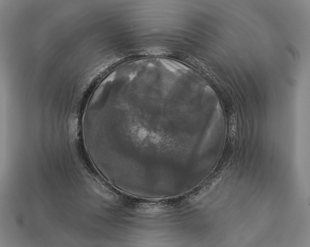 X0000112960351200909101637