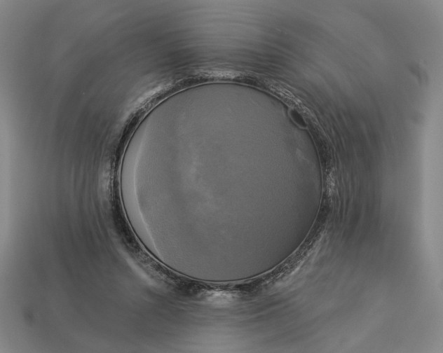 X0000112960352200909101637