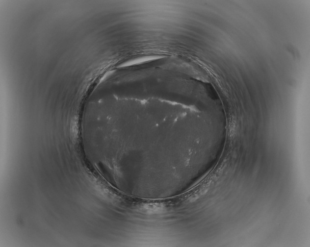 X0000112960353200909101637