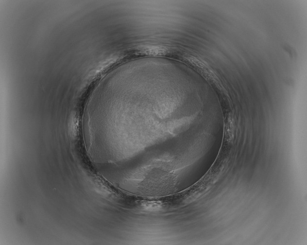 X0000112960355200909101637