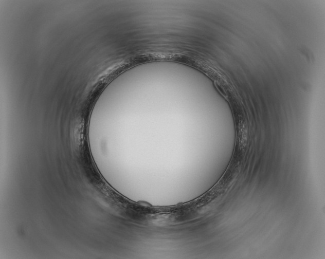 X0000112960356200909101637