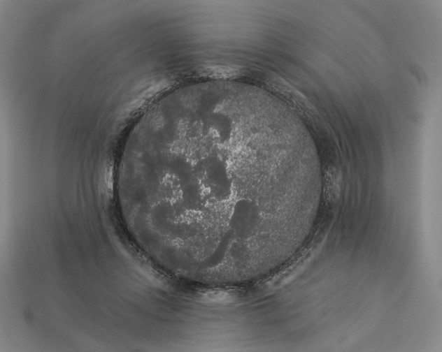 X0000112960358200909101637